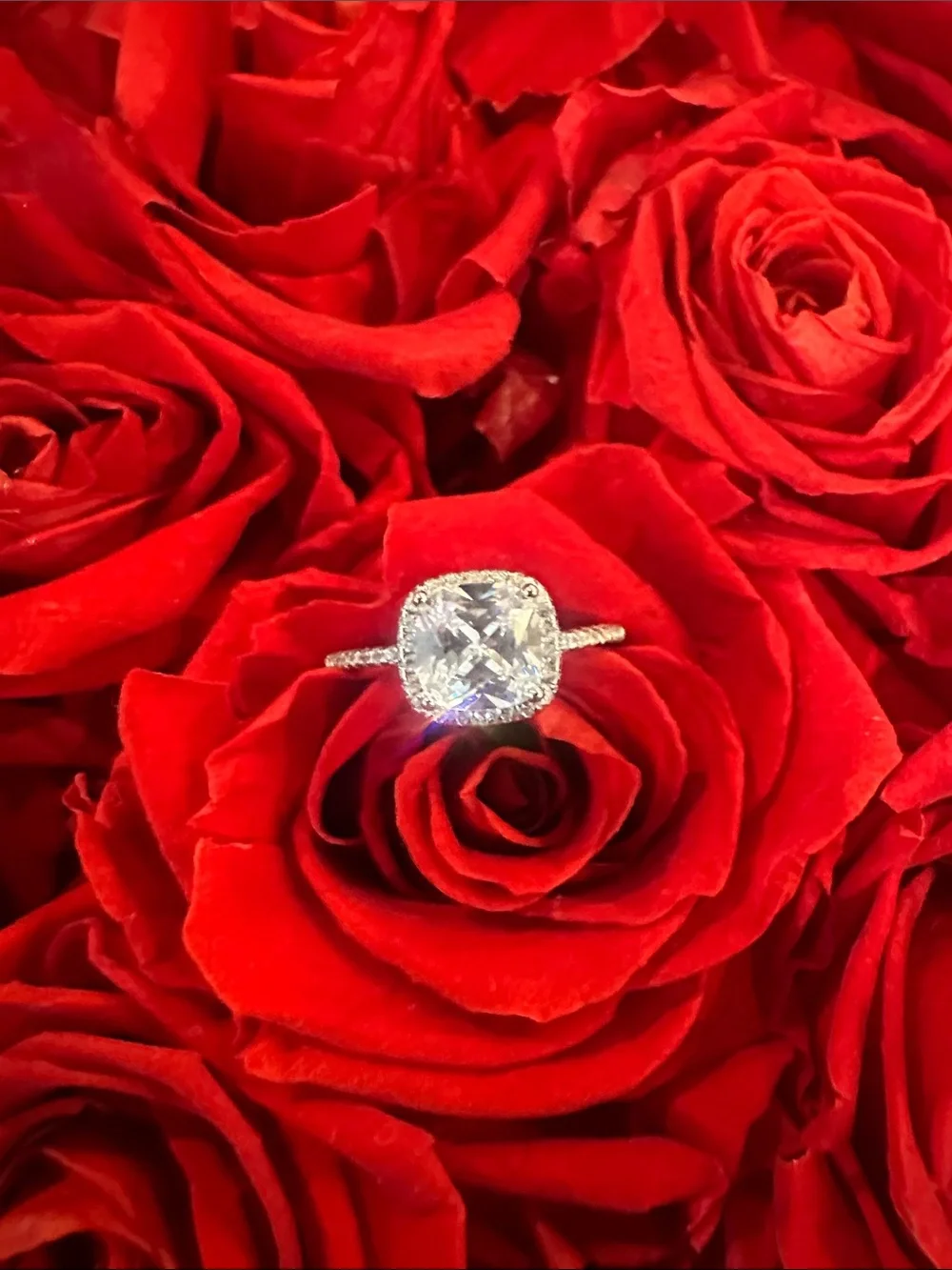 Cushion Halo Solitaire Ring in 925 Silver with Clear Center Stone